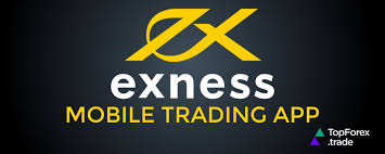 Exness Forex Broker Review An In-Depth Analysis of One of the Leading Brokers