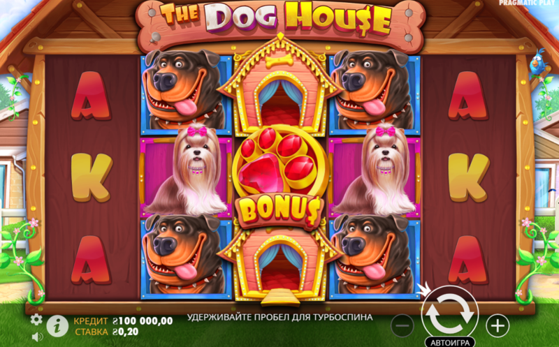 더도그하우스 따뜻한 반려견 세상과 게임 속 즐거움